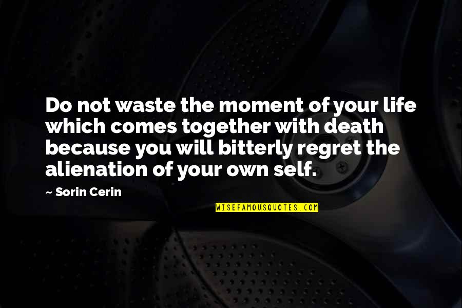 Alienation's Quotes By Sorin Cerin: Do not waste the moment of your life