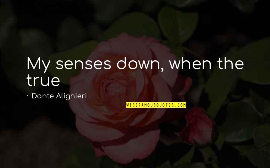 Alighieri Dante Quotes By Dante Alighieri: My senses down, when the true