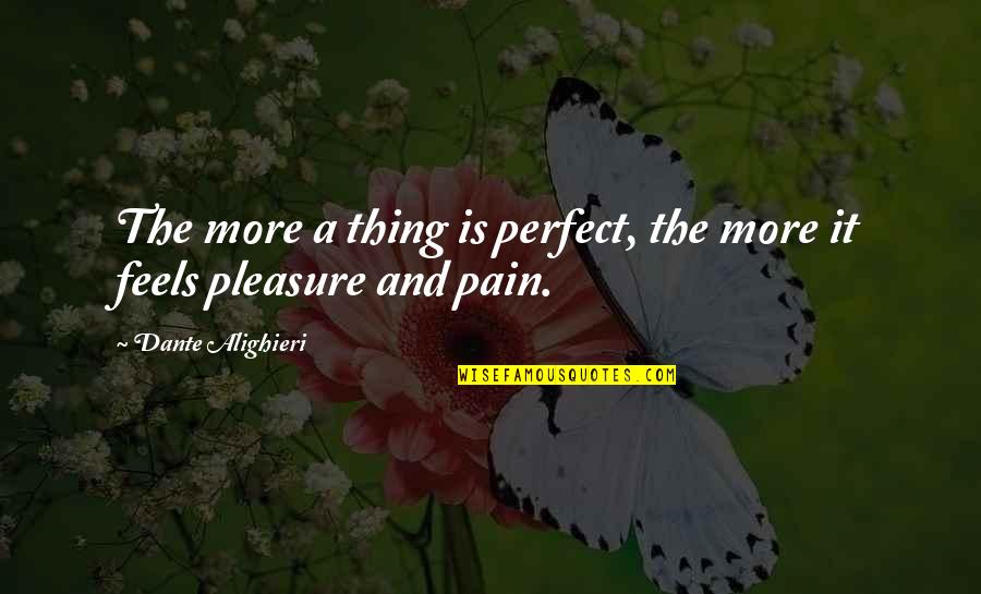 Alighieri Dante Quotes By Dante Alighieri: The more a thing is perfect, the more