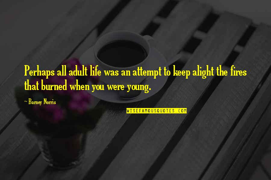 Alight Quotes By Barney Norris: Perhaps all adult life was an attempt to
