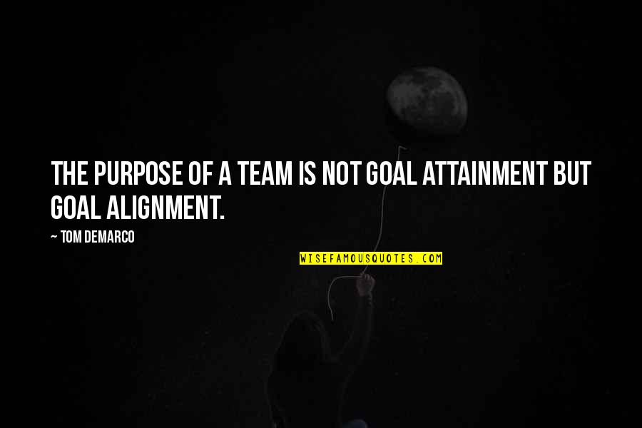 Alignment Quotes By Tom DeMarco: The purpose of a team is not goal