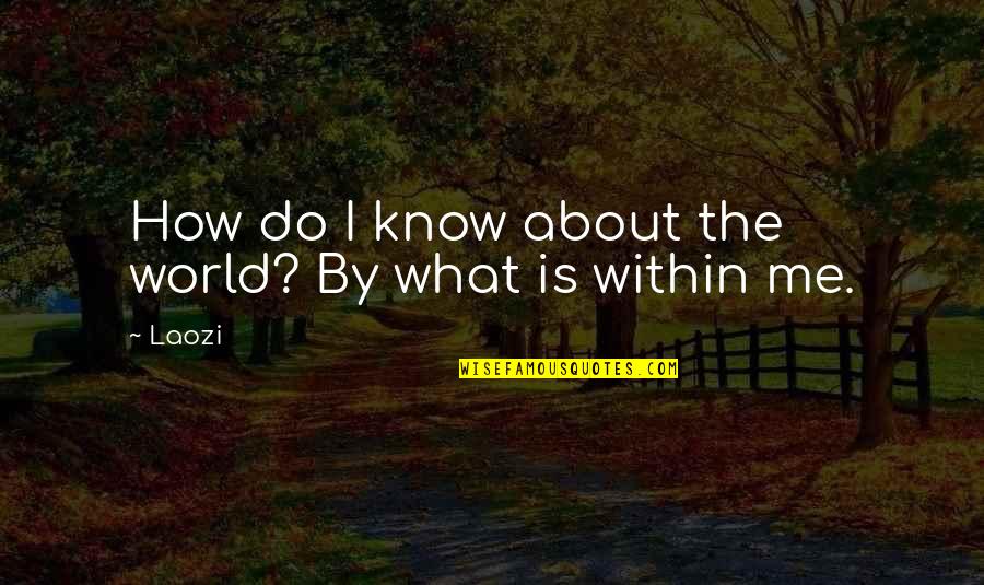 Alignments Explained Quotes By Laozi: How do I know about the world? By
