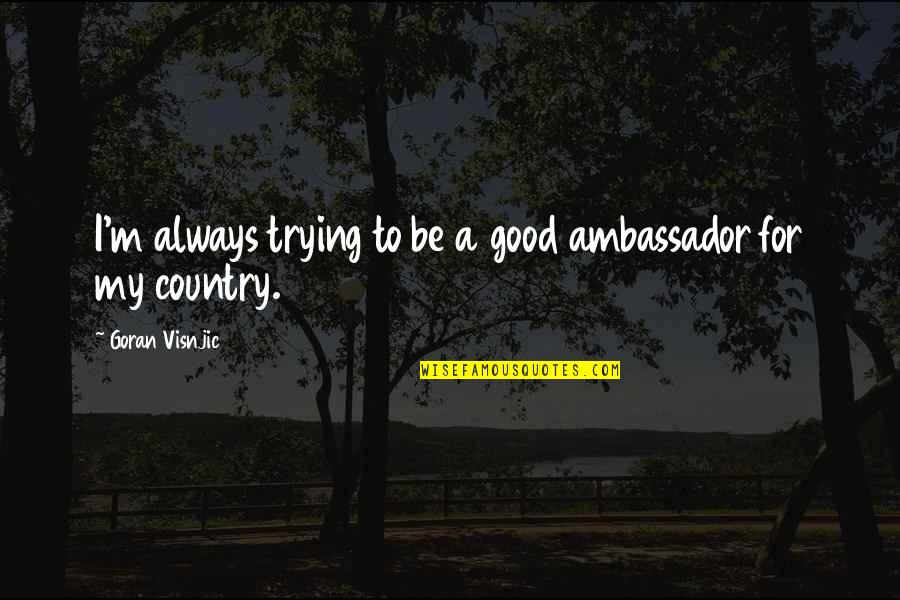 Aliki Vougiouklaki Quotes By Goran Visnjic: I'm always trying to be a good ambassador