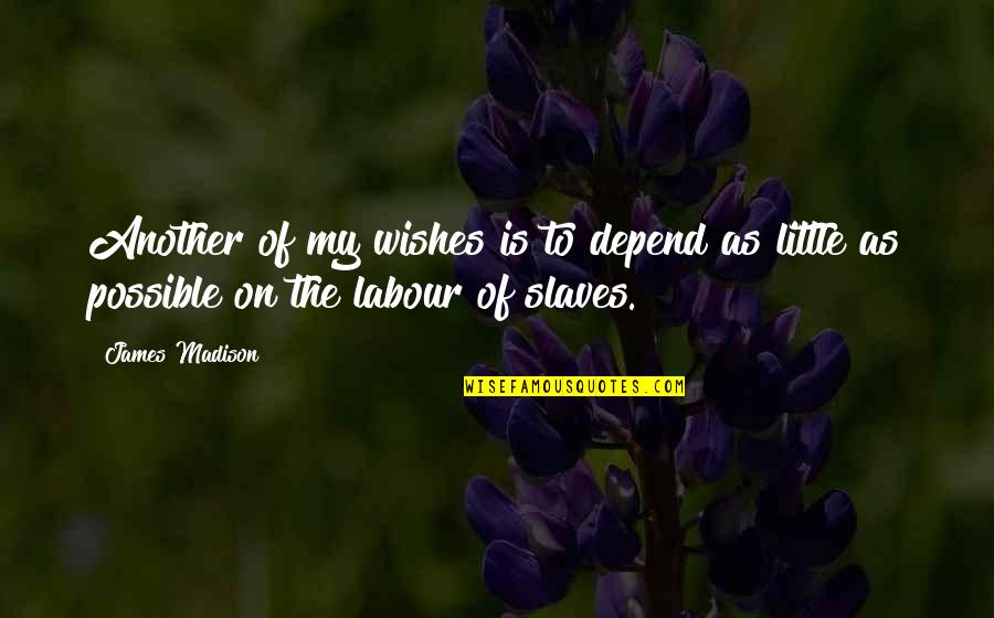 Alilla Quotes By James Madison: Another of my wishes is to depend as