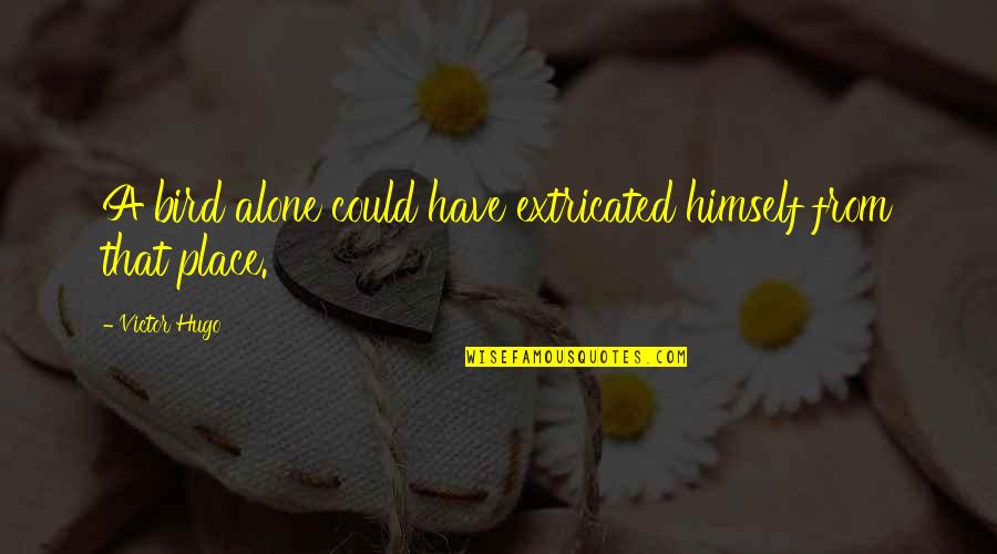 Alina Wheeler Quotes By Victor Hugo: A bird alone could have extricated himself from