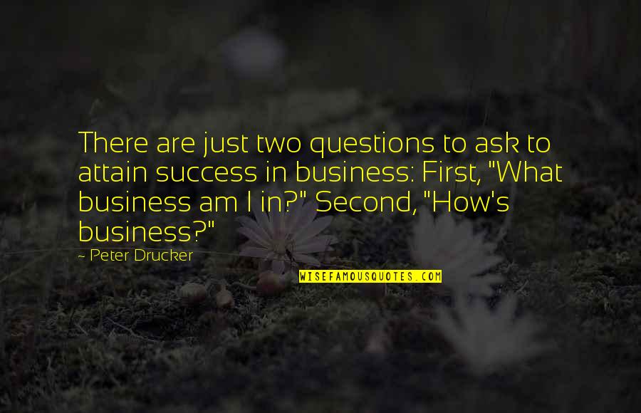 Aliosha Castro Quotes By Peter Drucker: There are just two questions to ask to