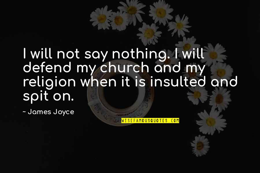 Alioune Ndiaye Quotes By James Joyce: I will not say nothing. I will defend Alioune Ndiaye Quotes By James Joyce: I will not say nothing. I will defend