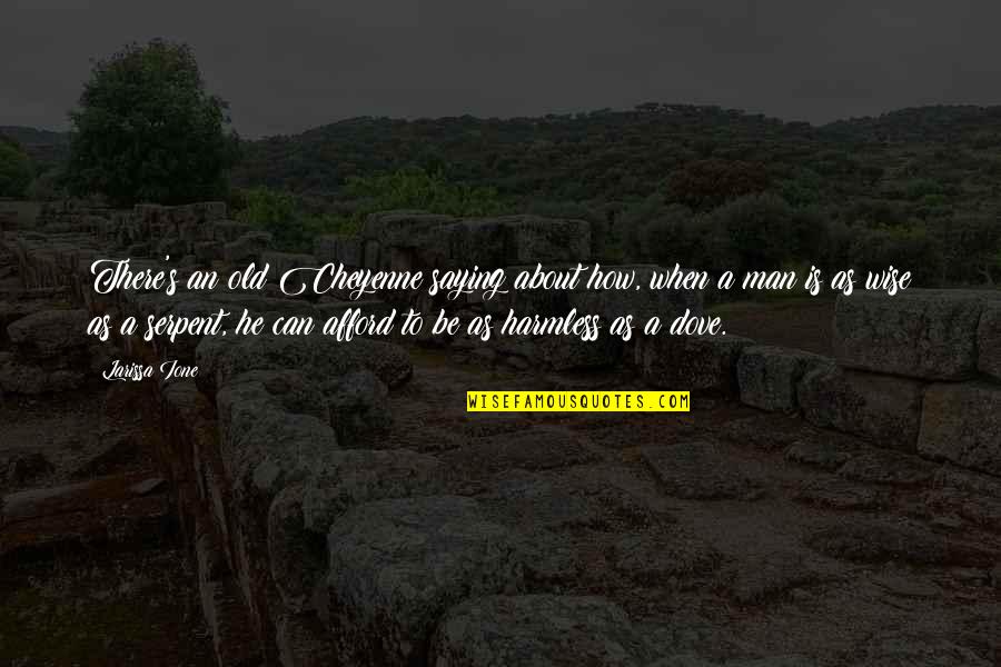 Aliquis Aliquid Quotes By Larissa Ione: There's an old Cheyenne saying about how, when Aliquis Aliquid Quotes By Larissa Ione: There's an old Cheyenne saying about how, when