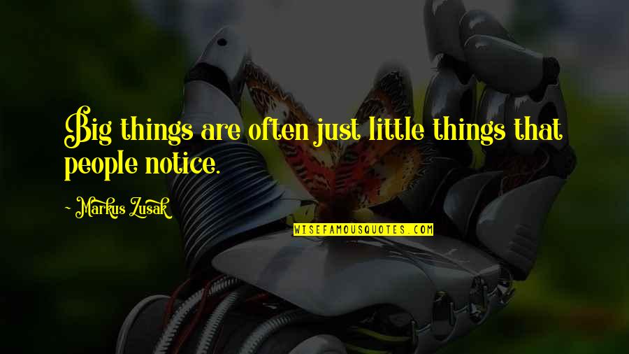 Alireza Amirghassemi Quotes By Markus Zusak: Big things are often just little things that