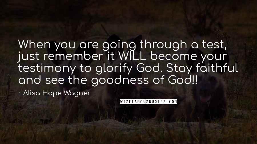 Alisa Hope Wagner quotes: When you are going through a test, just remember it WILL become your testimony to glorify God. Stay faithful and see the goodness of God!!