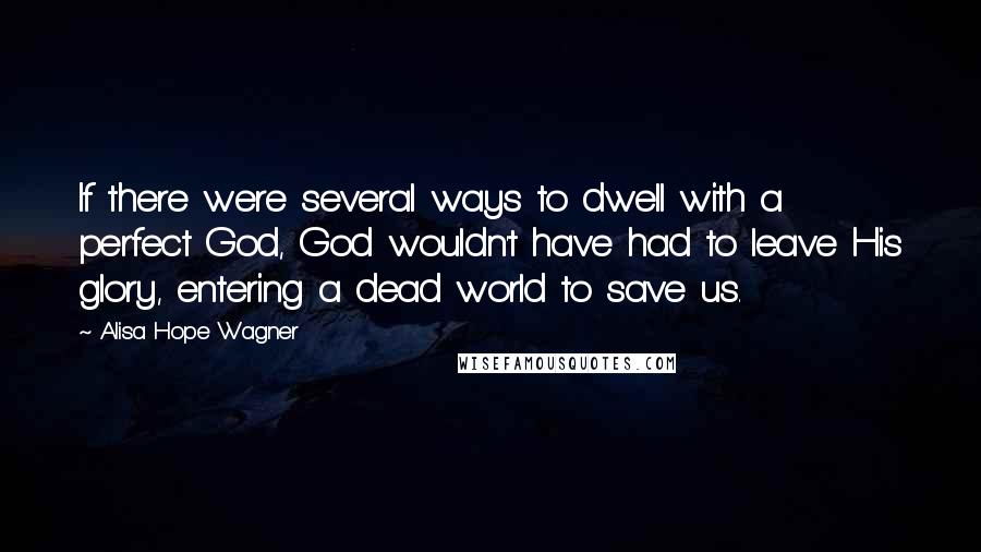 Alisa Hope Wagner quotes: If there were several ways to dwell with a perfect God, God wouldn't have had to leave His glory, entering a dead world to save us.