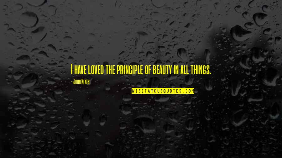 Alisa Tekken Quotes By John Keats: I have loved the principle of beauty in