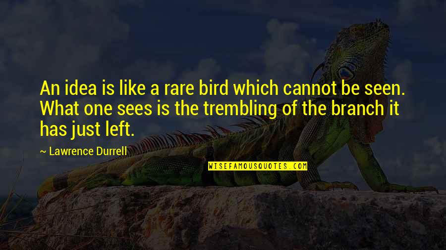 Alisha Wainwright Quotes By Lawrence Durrell: An idea is like a rare bird which Alisha Wainwright Quotes By Lawrence Durrell: An idea is like a rare bird which