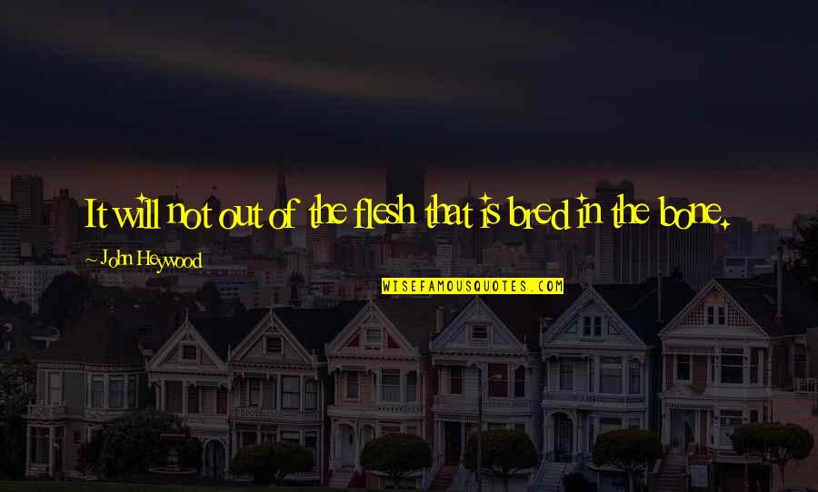 Alishea Bunkley Quotes By John Heywood: It will not out of the flesh that
