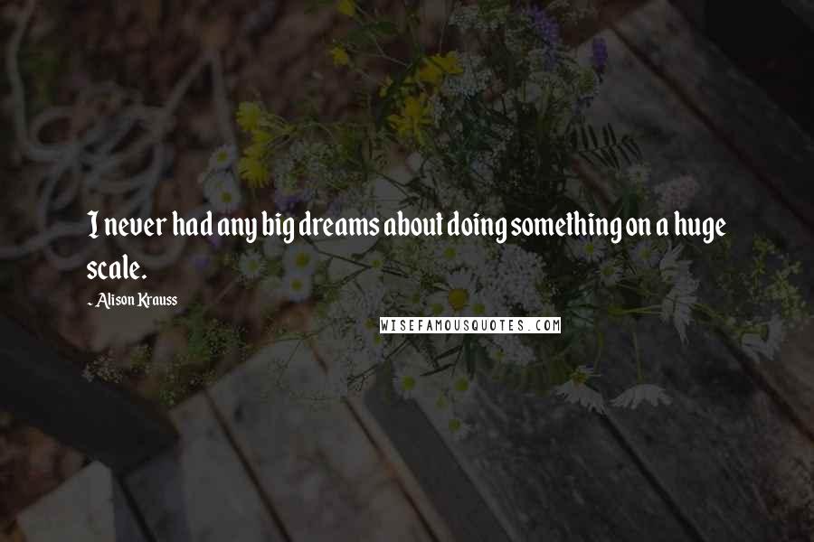Alison Krauss quotes: I never had any big dreams about doing something on a huge scale.