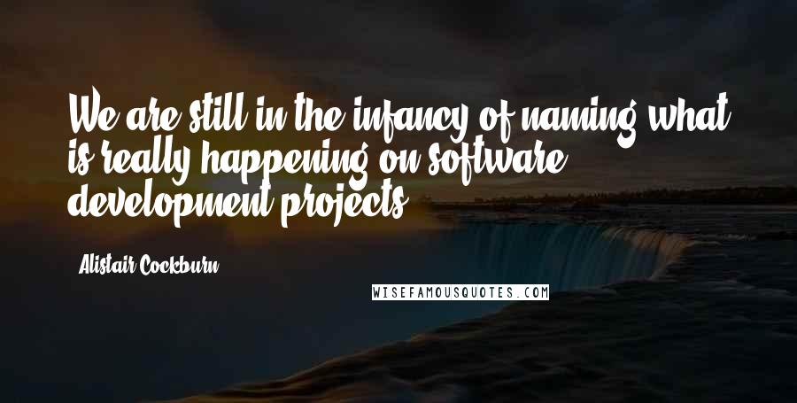 Alistair Cockburn quotes: We are still in the infancy of naming what is really happening on software development projects.