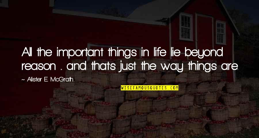 Alister E. Mcgrath Quotes By Alister E. McGrath: All the important things in life lie beyond