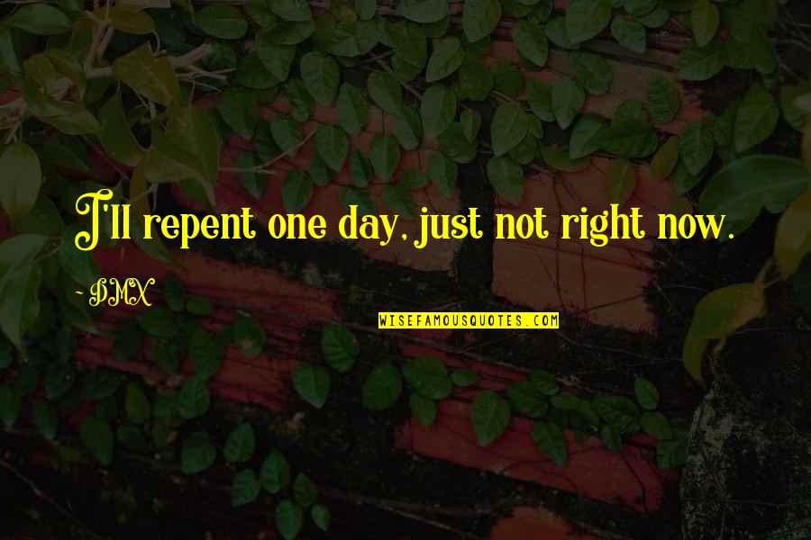 Alium Partners Quotes By DMX: I'll repent one day, just not right now.