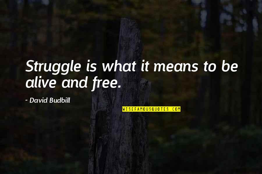 Alive And Free Quotes By David Budbill: Struggle is what it means to be alive