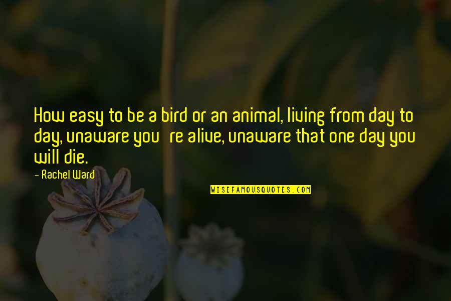Alive Day Quotes By Rachel Ward: How easy to be a bird or an Alive Day Quotes By Rachel Ward: How easy to be a bird or an