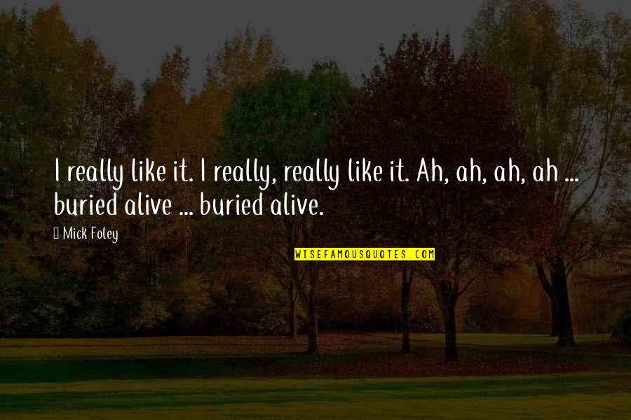 Alive Quotes By Mick Foley: I really like it. I really, really like