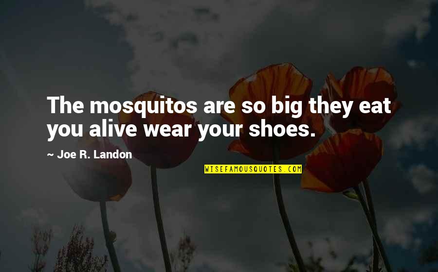 Alive Shoes Quotes By Joe R. Landon: The mosquitos are so big they eat you