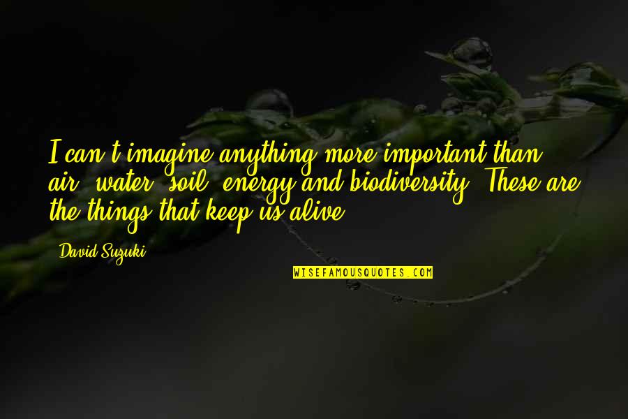 Alive With Energy Quotes By David Suzuki: I can't imagine anything more important than air,