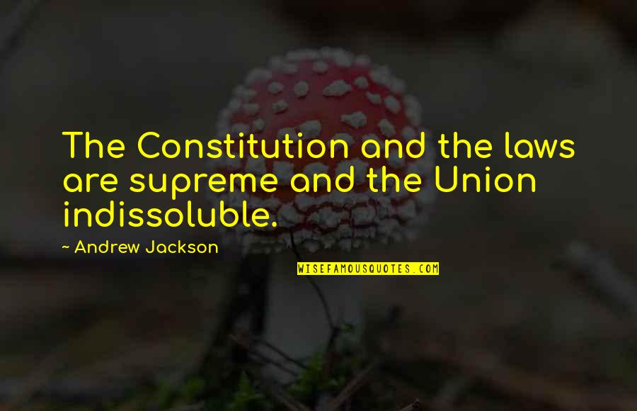 Alkalinity Decreaser Quotes By Andrew Jackson: The Constitution and the laws are supreme and