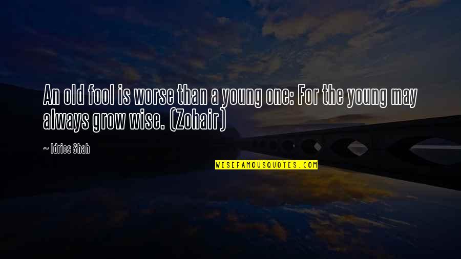 Alkaptonuria Pathway Quotes By Idries Shah: An old fool is worse than a young