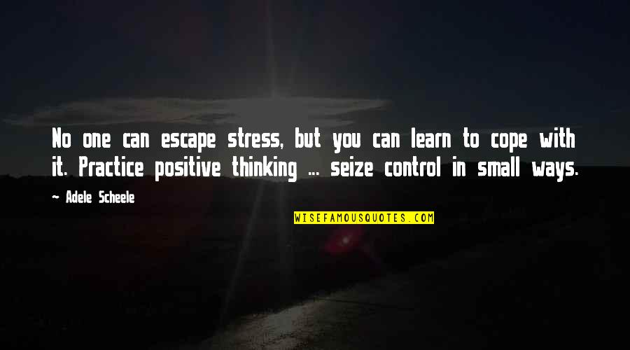 Alkhoury Dds Quotes By Adele Scheele: No one can escape stress, but you can Alkhoury Dds Quotes By Adele Scheele: No one can escape stress, but you can