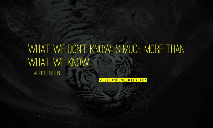 Alkies Quotes By Albert Einstein: What we don't know is much more than