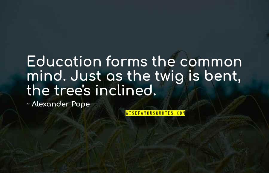 Alkies Quotes By Alexander Pope: Education forms the common mind. Just as the