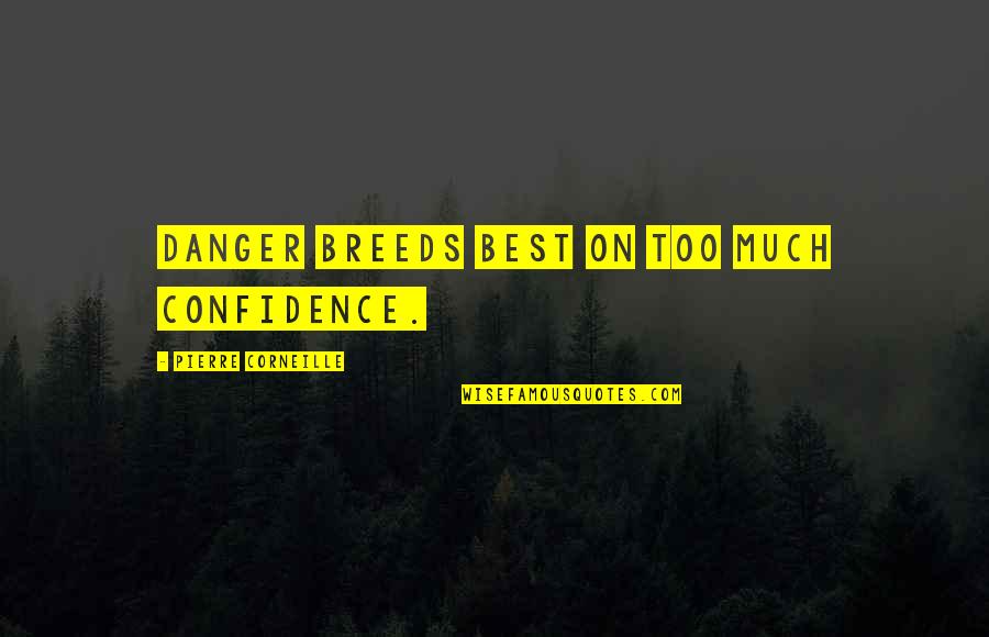 Alkyl Polyglucoside Quotes By Pierre Corneille: Danger breeds best on too much confidence. Alkyl Polyglucoside Quotes By Pierre Corneille: Danger breeds best on too much confidence.