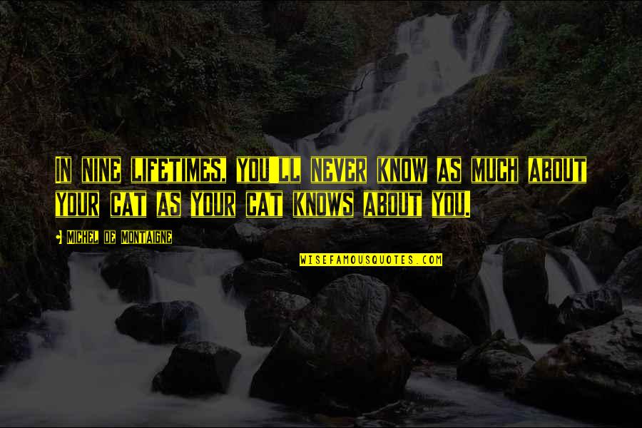 All About Cat Quotes By Michel De Montaigne: In nine lifetimes, you'll never know as much All About Cat Quotes By Michel De Montaigne: In nine lifetimes, you'll never know as much