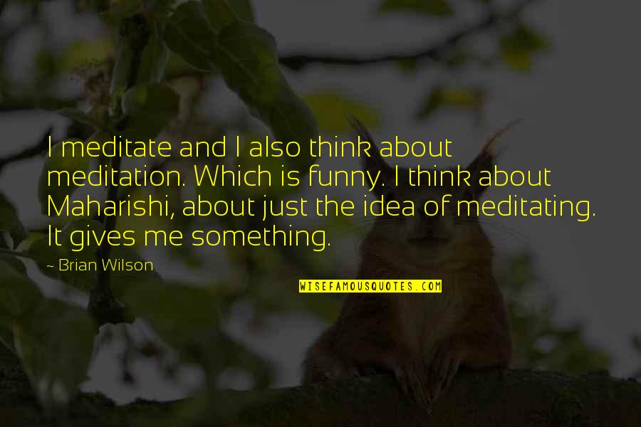 All About Me Funny Quotes By Brian Wilson: I meditate and I also think about meditation.