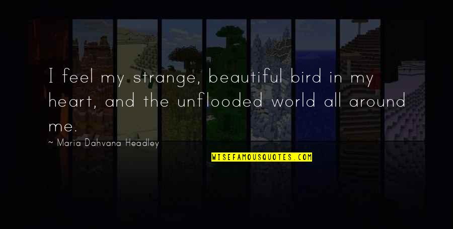 All Around Me Quotes By Maria Dahvana Headley: I feel my strange, beautiful bird in my
