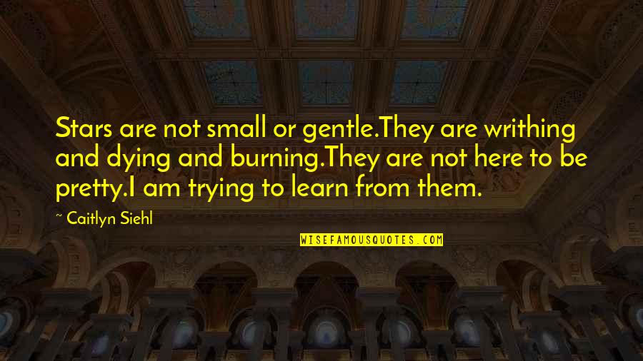 All Caitlyn Quotes By Caitlyn Siehl: Stars are not small or gentle.They are writhing All Caitlyn Quotes By Caitlyn Siehl: Stars are not small or gentle.They are writhing