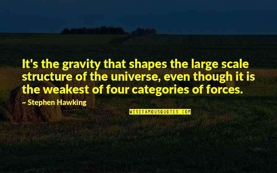 All Categories Of Quotes By Stephen Hawking: It's the gravity that shapes the large scale