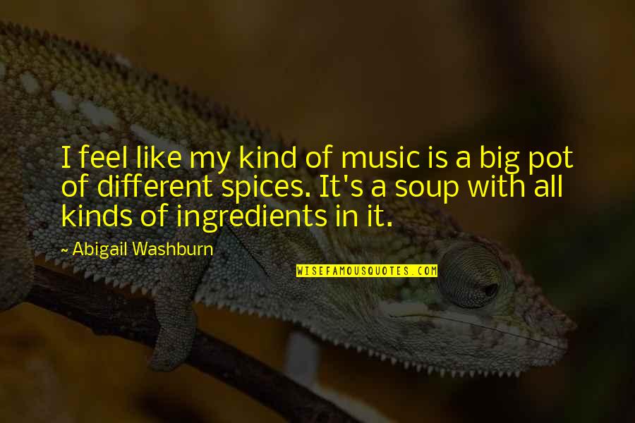 All Different Kinds Of Quotes By Abigail Washburn: I feel like my kind of music is
