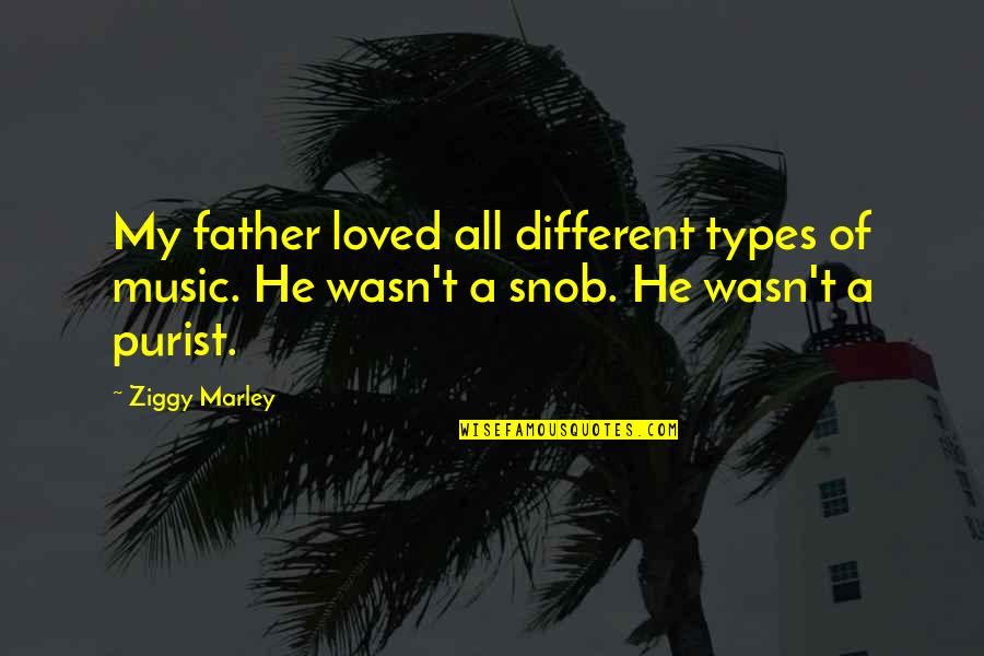 All Different Types Of Quotes By Ziggy Marley: My father loved all different types of music.