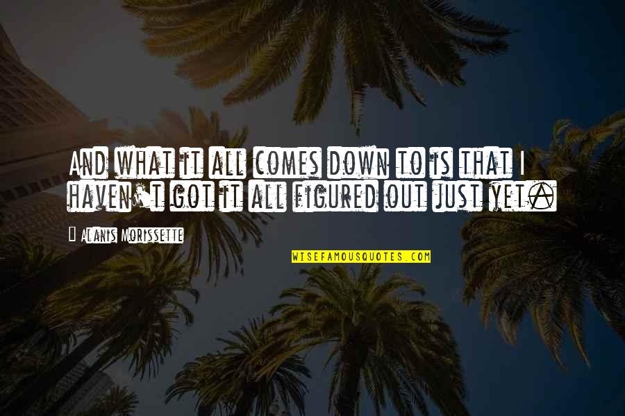 All Figured Out Quotes By Alanis Morissette: And what it all comes down to is