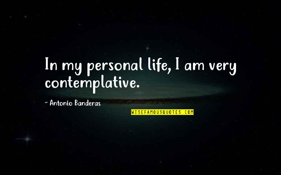 All For Love Dryden Quotes By Antonio Banderas: In my personal life, I am very contemplative.