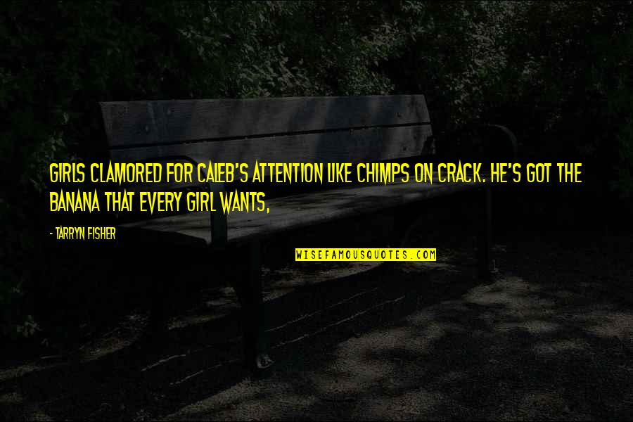 All Girl Wants Quotes By Tarryn Fisher: Girls clamored for Caleb's attention like chimps on