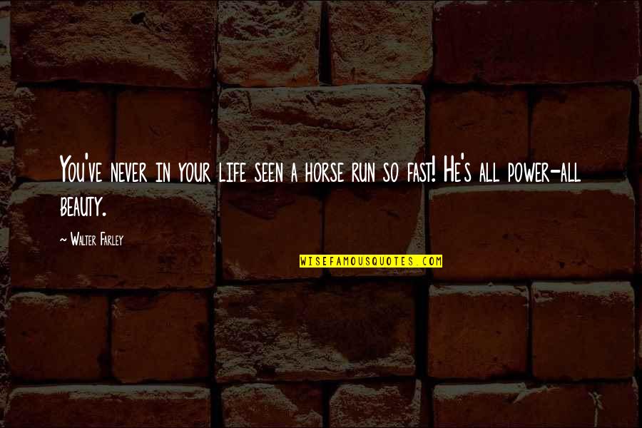 All Horse Quotes By Walter Farley: You've never in your life seen a horse