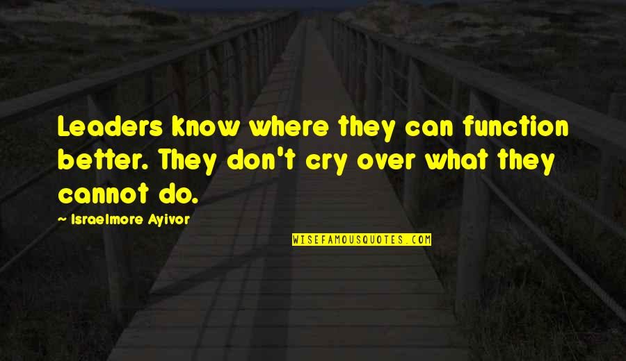 All I Can Do Is Cry Quotes By Israelmore Ayivor: Leaders know where they can function better. They