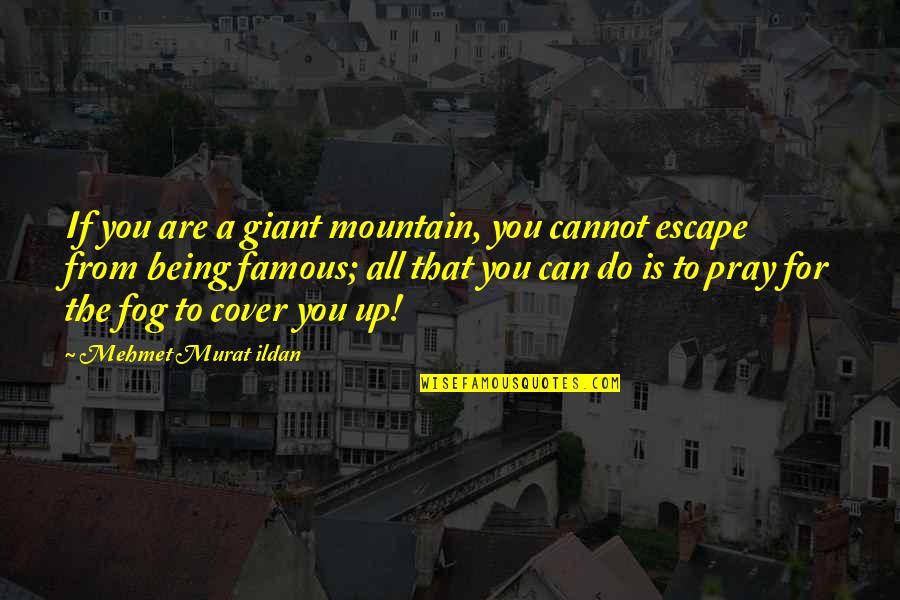 All I Can Do Is Pray Quotes By Mehmet Murat Ildan: If you are a giant mountain, you cannot