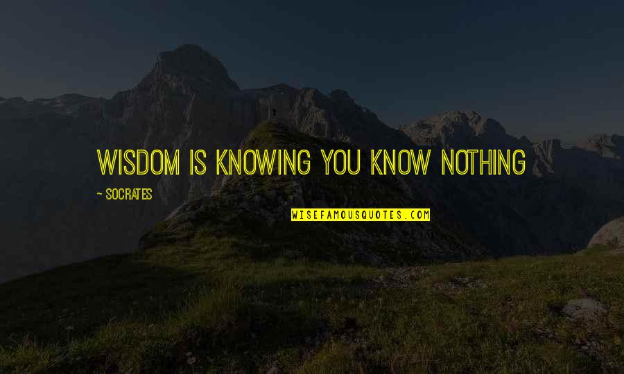 All I Know Is That I Know Nothing Quote Quotes By Socrates: Wisdom is knowing you know nothing