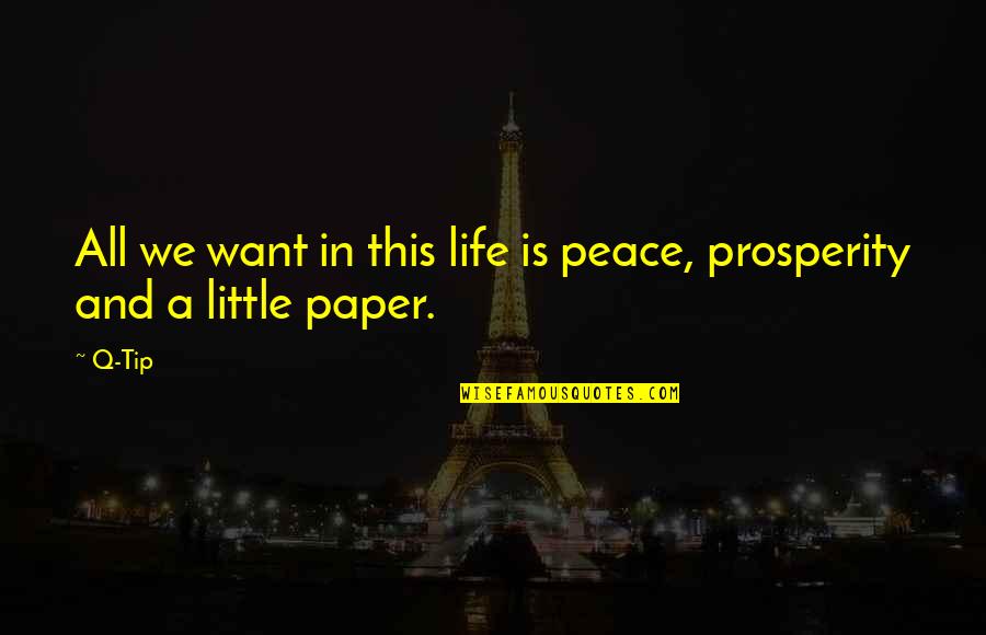 All I Want Is Peace In My Life Quotes By Q-Tip: All we want in this life is peace,