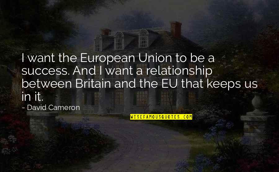 All I Want Relationship Quotes By David Cameron: I want the European Union to be a