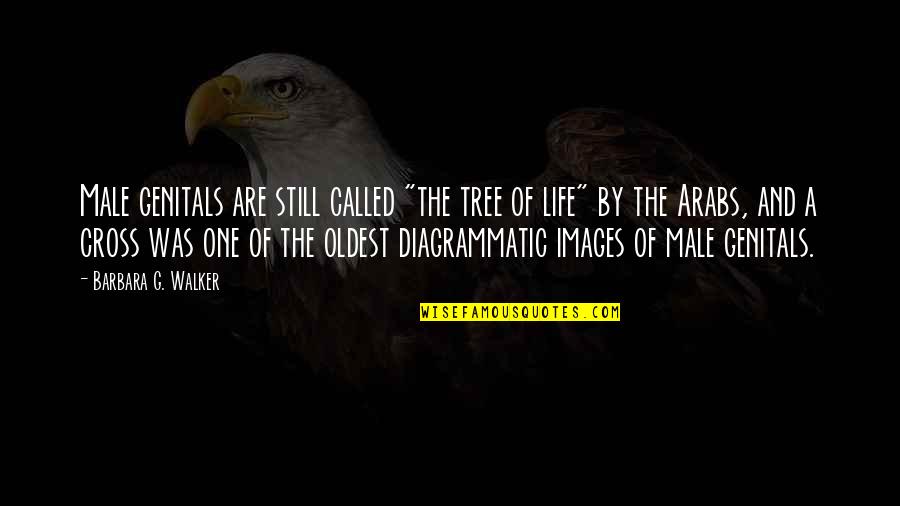 All Images With Quotes By Barbara G. Walker: Male genitals are still called "the tree of